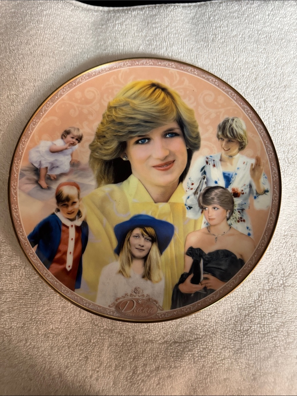 Princess Diana Through The Years Royal Worcester #A3352 Danbury Mint